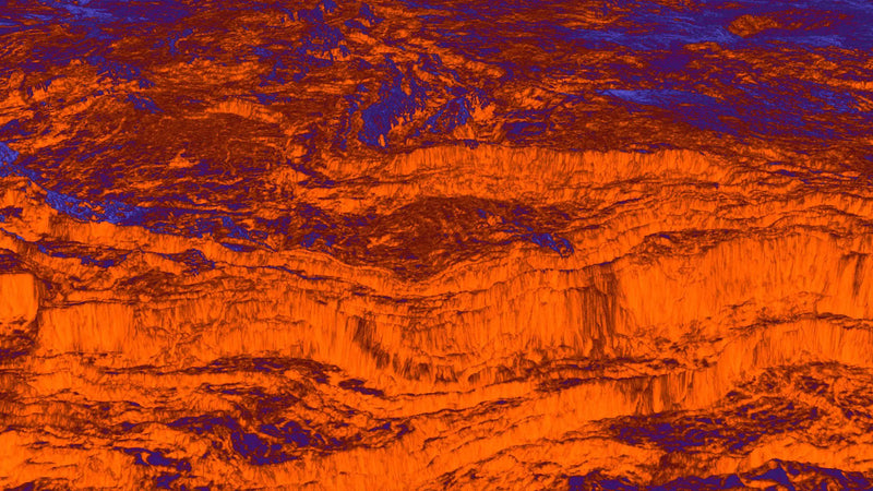 Bear Damen For Patta X Dekmantel - Patta